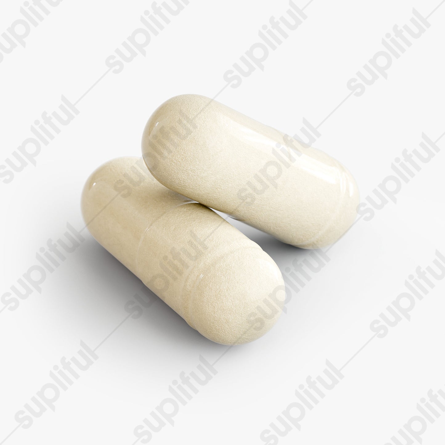 Bile Shield - 1 Bottle